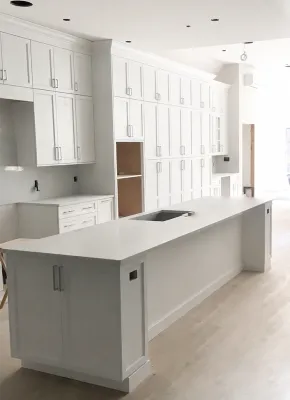 Modern Kitchen Renovation